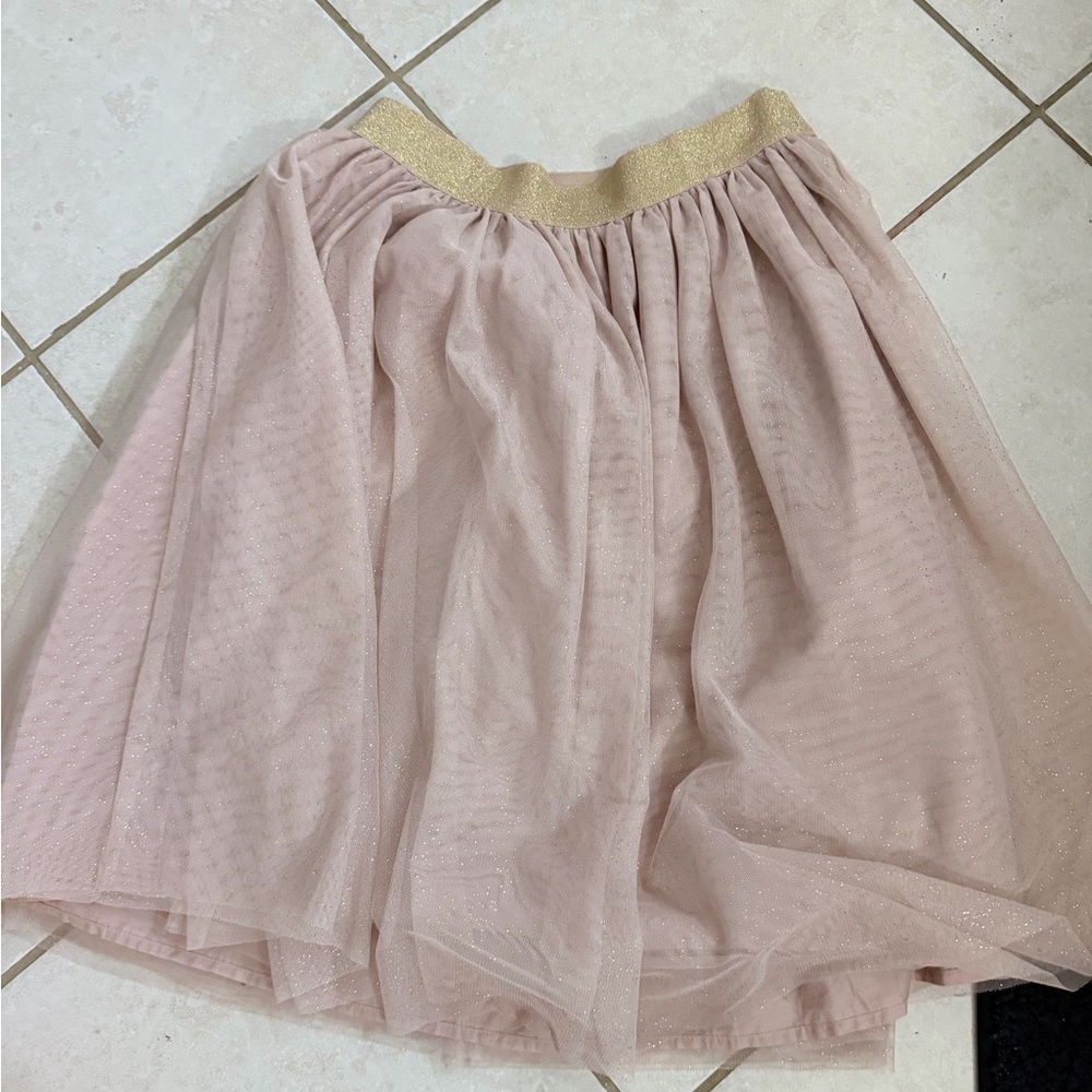 GAP Pink Tulle Skater Skirt with Gold Waistband